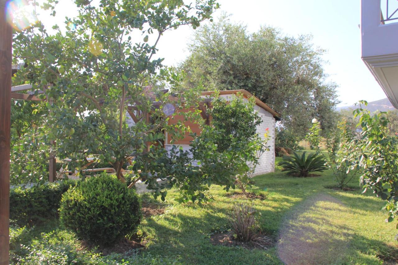 Vila Hadhri Borsh Exterior photo